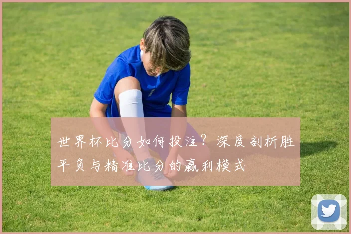 世界杯比分如何投注?深度剖析胜平负与精准比分的赢利模式