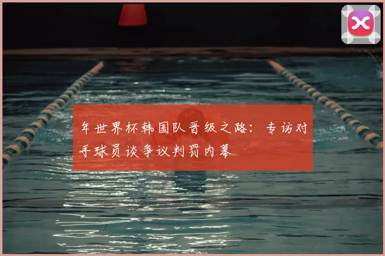 年世界杯韩国队晋级之路：专访对手球员谈争议判罚内幕