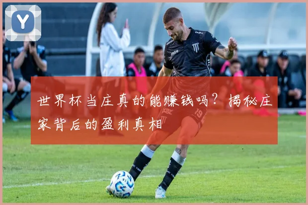世界杯当庄真的能赚钱吗？揭秘庄家背后的盈利真相