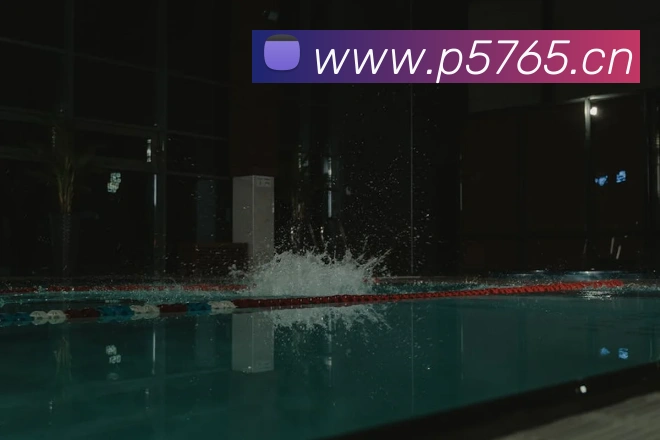 星空体育注册入口APP 封面图